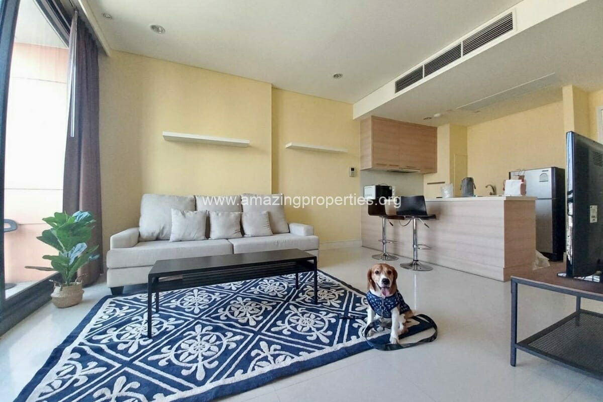For SaleCondoSukhumvit, Asoke, Thonglor : Pet Friendly 1 bedroom for sale in Aguston Sukhumvit 22