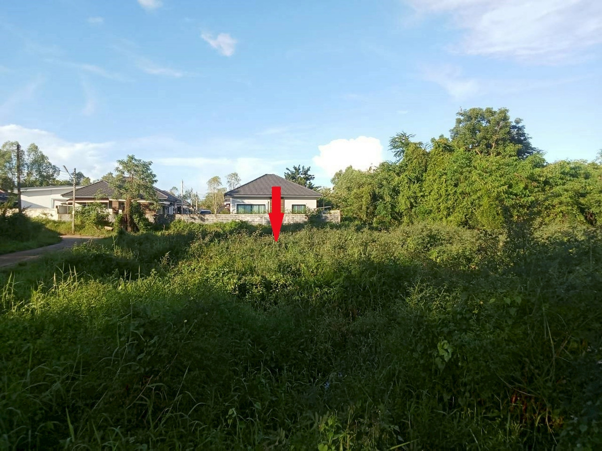 ขายที่ดินอุดรธานี : ขายที่ดินเปล่า ทำเล สวย เหมาะสร้างที่อยู่อาศัย ในเมืองอุดรธานี  154 ตารางวา