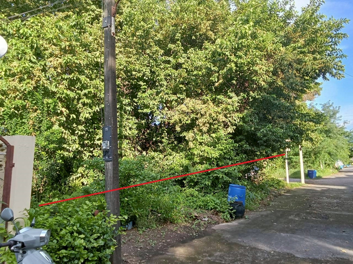 ขายที่ดินอุดรธานี : ที่ดินใจกลางอุดรธานี 130 ตร.ว. ทำเลทองใกล้ทุกความสะดวก เหมาะสร้างบ้านหรือเก็งกำไรระยะยาว ✨ ใกล้ถนนหลัก เดินทางสะดวก น้ำไฟพร้อม 