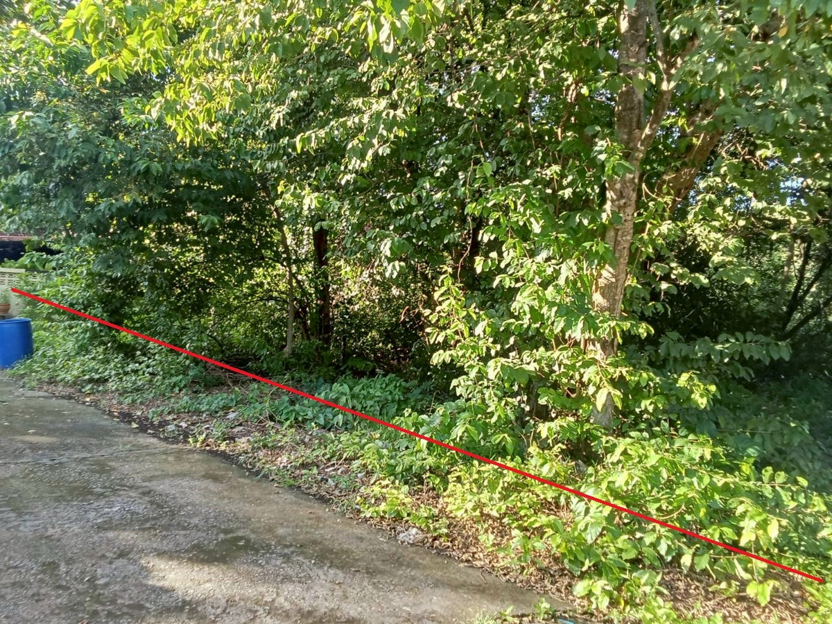 ขายที่ดินอุดรธานี : ที่ดินใจกลางอุดรธานี 130 ตร.ว. ทำเลทองใกล้ทุกความสะดวก เหมาะสร้างบ้านหรือเก็งกำไรระยะยาว ✨ ใกล้ถนนหลัก เดินทางสะดวก น้ำไฟพร้อม 