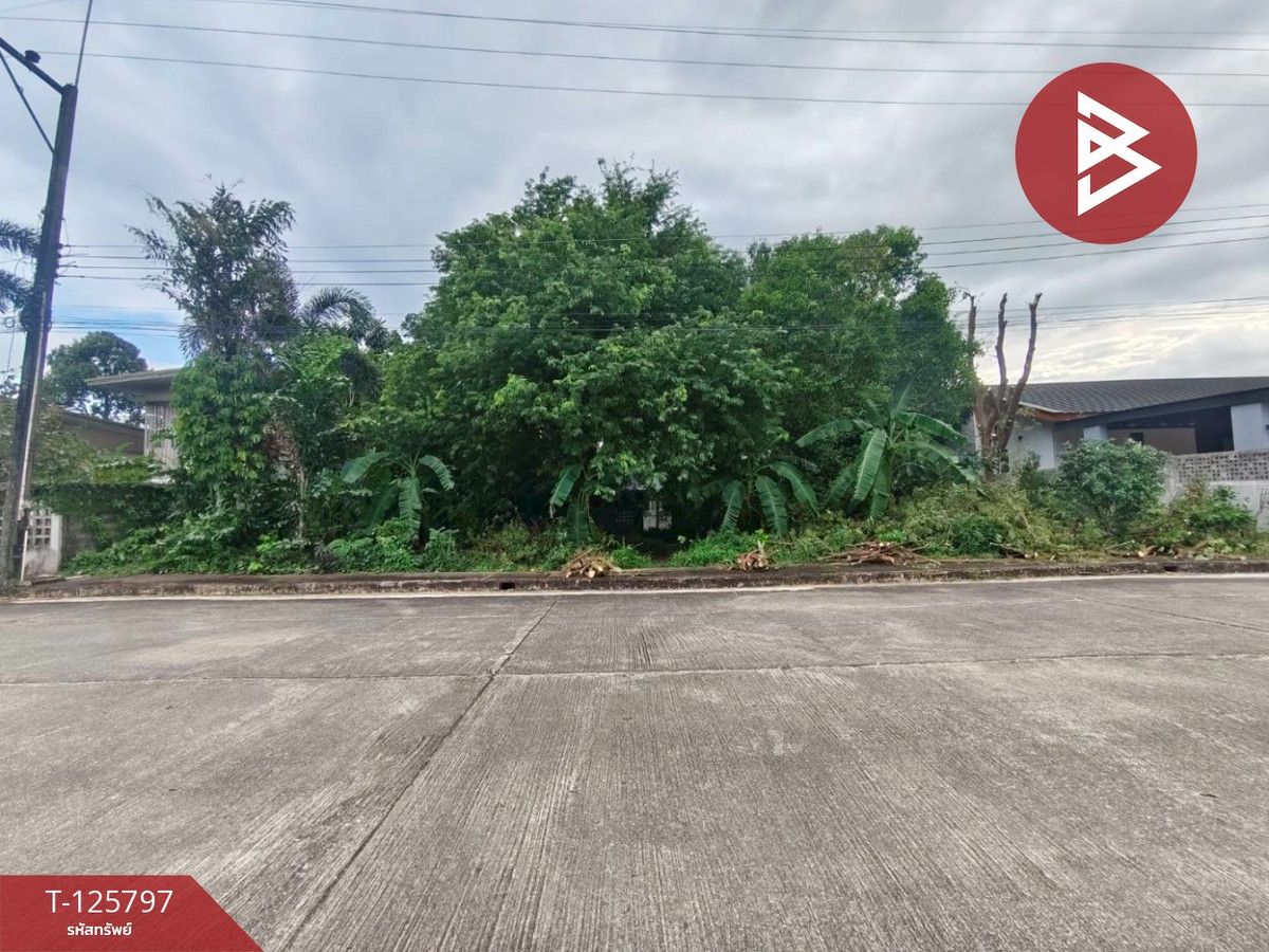 ขายที่ดินจันทบุรี : ขายที่ดิน เนื้อที่ 1 งาน 30 ตร.วา ท่าช้าง จันทบุรี