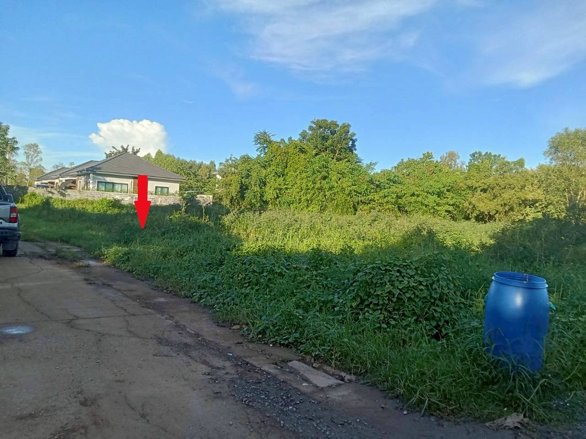 ขายที่ดินอุดรธานี : ขายที่ดินเปล่า ทำเล สวย เหมาะสร้างที่อยู่อาศัย ในเมืองอุดรธานี  154 ตารางวา