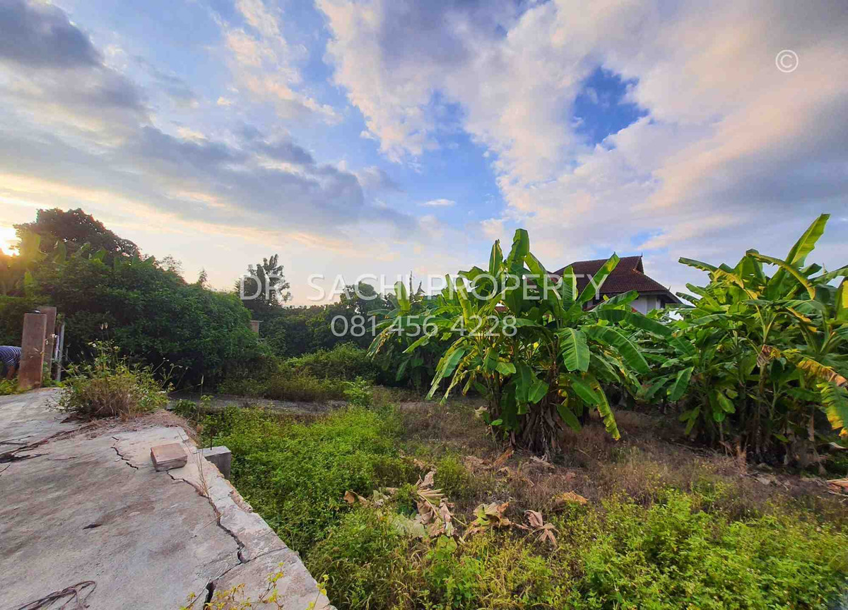 For SaleLandLamphun : Land for sale, 135 sq m., next to Road 1156 (Sob Tha-Tha Li), Pak Bong Subdistrict, Pa Sang District, Lamphun Province.