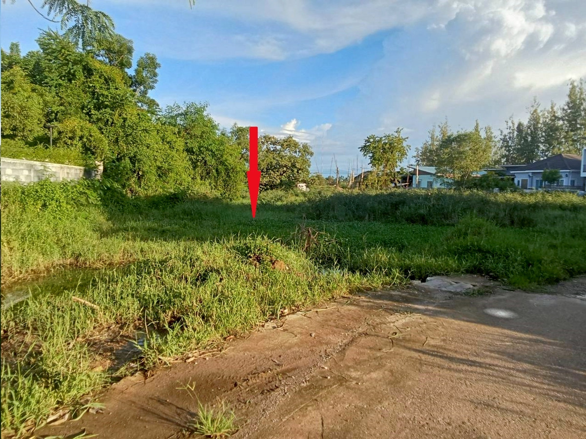 ขายที่ดินอุดรธานี : ขายที่ดินเปล่า ทำเล สวย เหมาะสร้างที่อยู่อาศัย ในเมืองอุดรธานี  154 ตารางวา