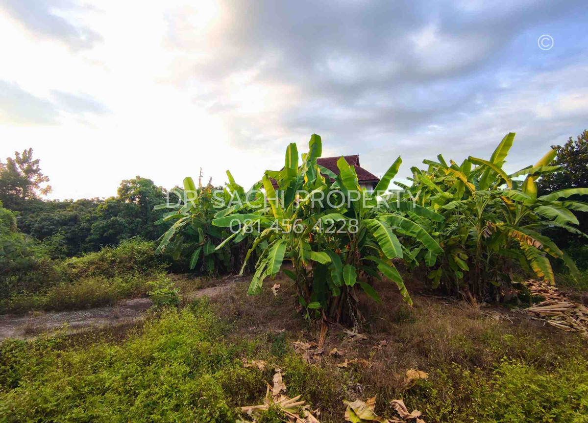 For SaleLandLamphun : Land for sale, 135 sq m., next to Road 1156 (Sob Tha-Tha Li), Pak Bong Subdistrict, Pa Sang District, Lamphun Province.