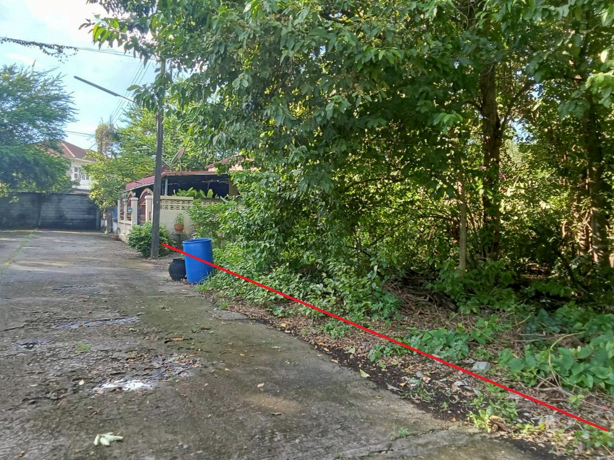 ขายที่ดินอุดรธานี : ที่ดินใจกลางอุดรธานี 130 ตร.ว. ทำเลทองใกล้ทุกความสะดวก เหมาะสร้างบ้านหรือเก็งกำไรระยะยาว ✨ ใกล้ถนนหลัก เดินทางสะดวก น้ำไฟพร้อม 