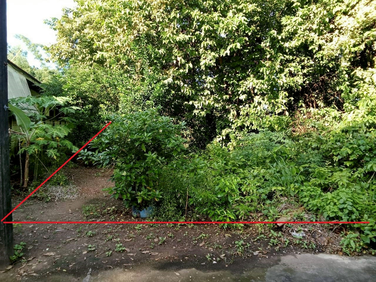 ขายที่ดินอุดรธานี : ที่ดินใจกลางอุดรธานี 130 ตร.ว. ทำเลทองใกล้ทุกความสะดวก เหมาะสร้างบ้านหรือเก็งกำไรระยะยาว ✨ ใกล้ถนนหลัก เดินทางสะดวก น้ำไฟพร้อม 