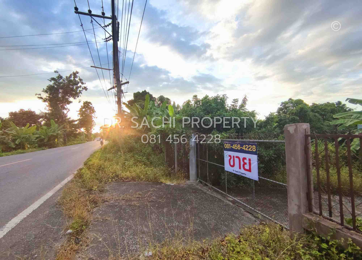 For SaleLandLamphun : Land for sale, 135 sq m., next to Road 1156 (Sob Tha-Tha Li), Pak Bong Subdistrict, Pa Sang District, Lamphun Province.