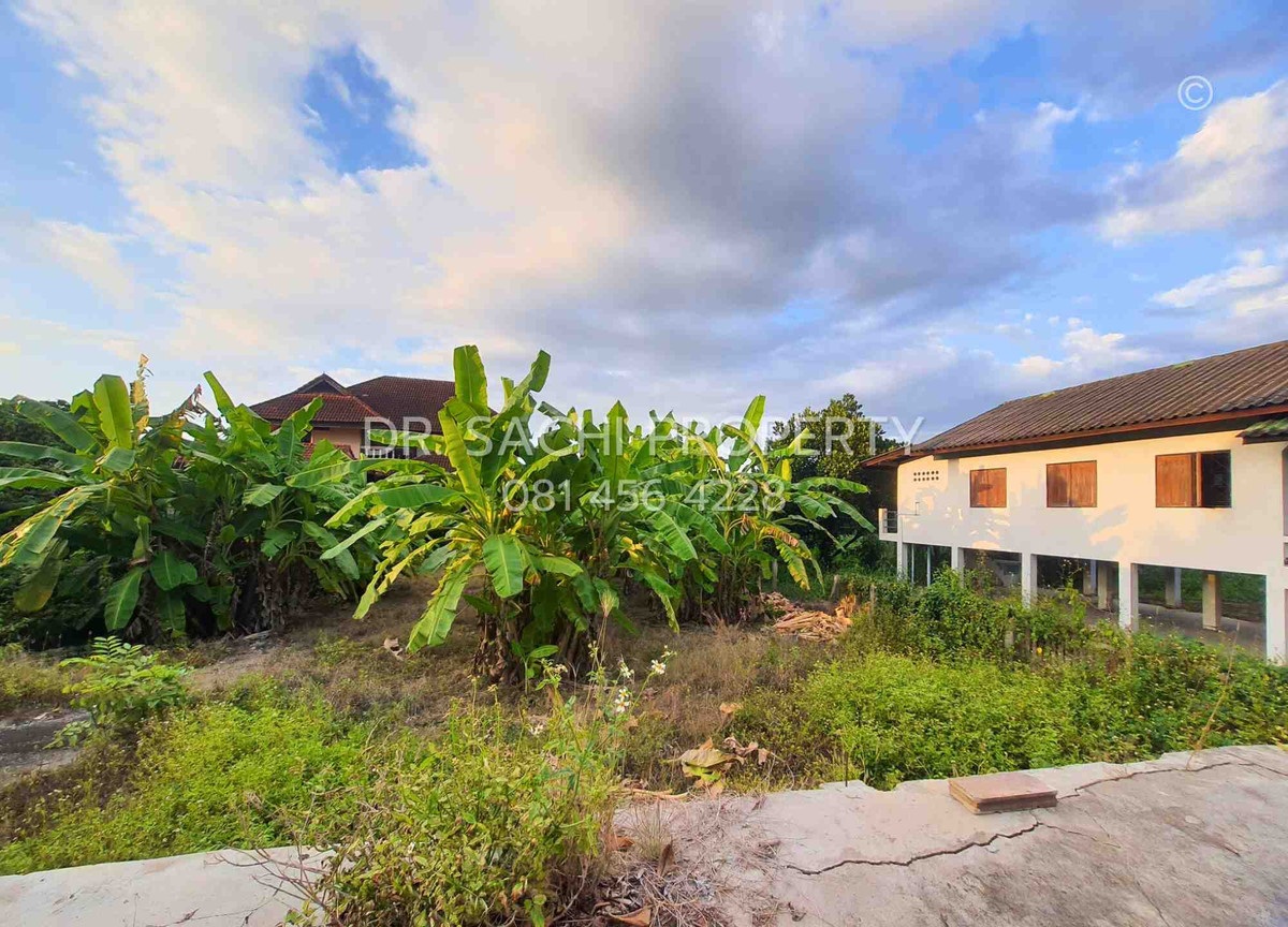 For SaleLandLamphun : Land for sale, 135 sq m., next to Road 1156 (Sob Tha-Tha Li), Pak Bong Subdistrict, Pa Sang District, Lamphun Province.