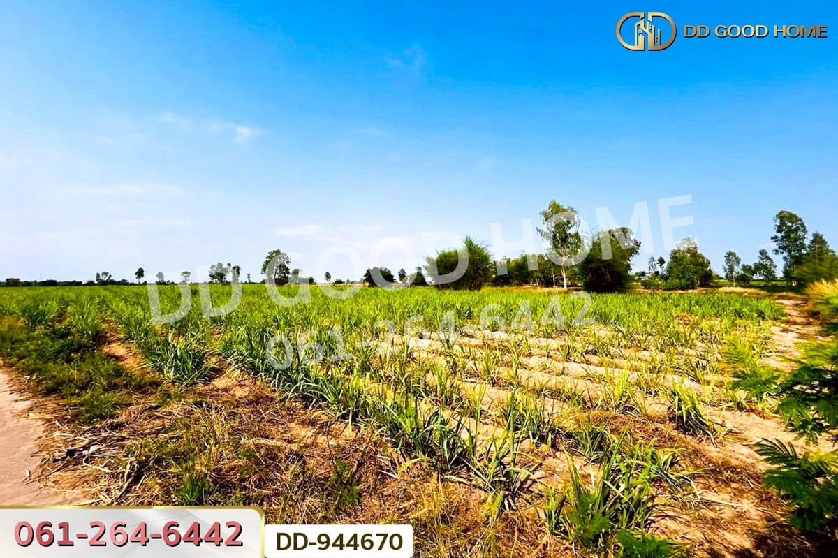 ขายที่ดินอุดรธานี : DD-944670 ที่ดินโคกกลาง 45 ไร่ 387 ตร.ว. โนนสะอาด อุดรธานี ใกล้สำนักงานสาธารณสุขอำเภอโนนสะอาด