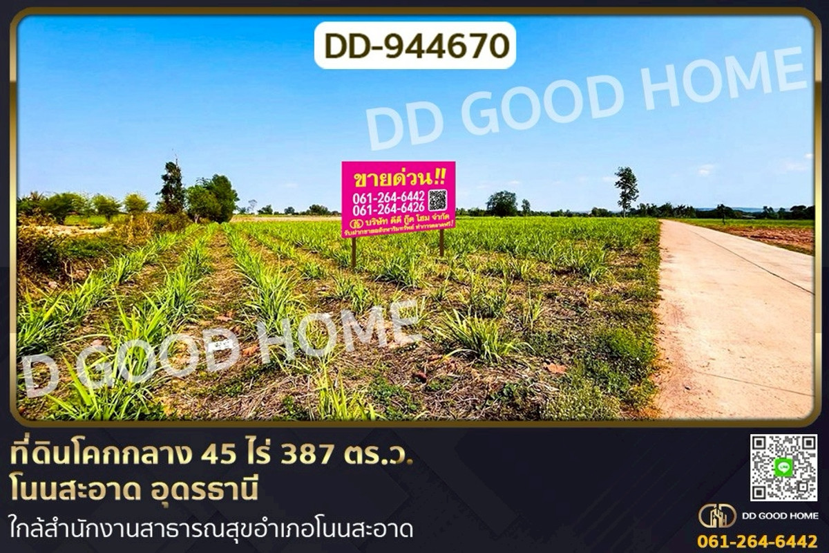 ขายที่ดินอุดรธานี : DD-944670 ที่ดินโคกกลาง 45 ไร่ 387 ตร.ว. โนนสะอาด อุดรธานี ใกล้สำนักงานสาธารณสุขอำเภอโนนสะอาด