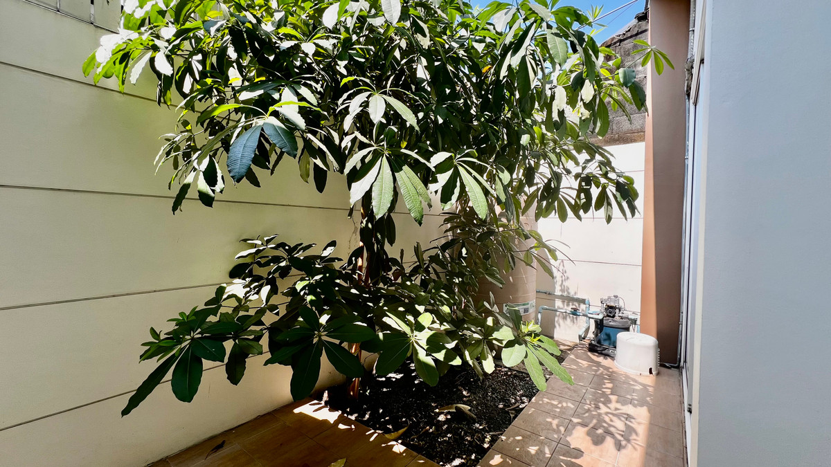 ขายทาวน์โฮมเกษตร นวมินทร์ ลาดปลาเค้า : ขาย ทาวน์โฮม 4 ชั้น Premium Place เอกมัย–รามอินทรา | ทำเลศักยภาพ ใกล้เลียบด่วน | เหมาะอยู่อาศัย–ทำออฟฟิศ–ลงทุนปล่อยเช่า