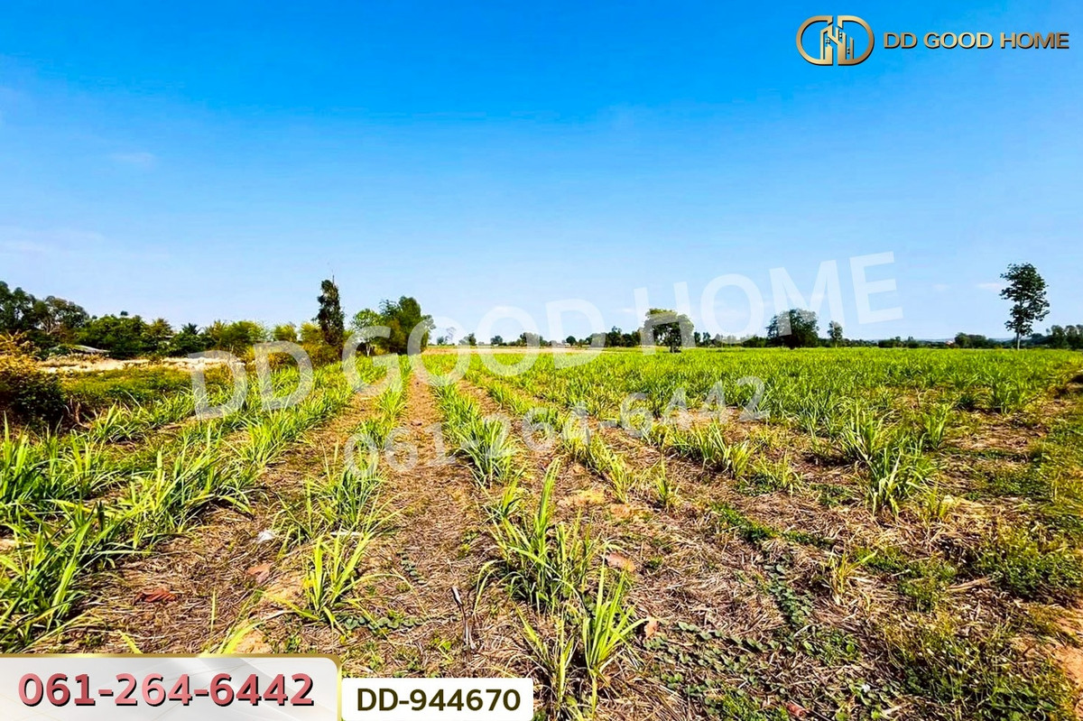 ขายที่ดินอุดรธานี : DD-944670 ที่ดินโคกกลาง 45 ไร่ 387 ตร.ว. โนนสะอาด อุดรธานี ใกล้สำนักงานสาธารณสุขอำเภอโนนสะอาด