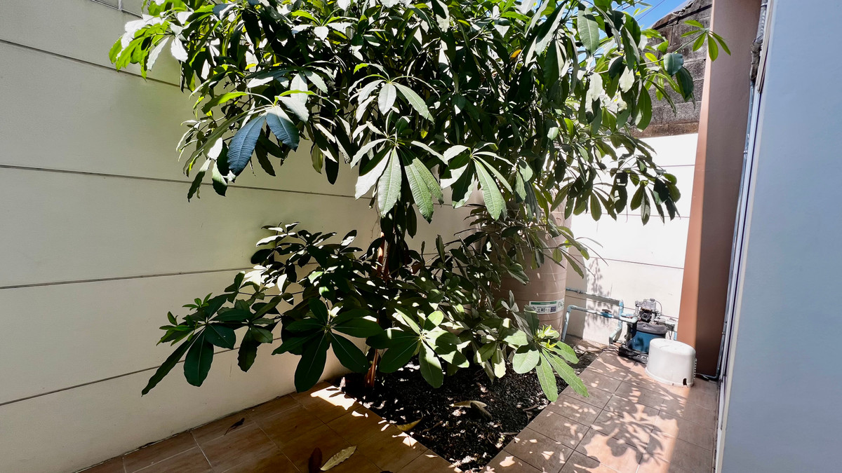 ขายทาวน์โฮมเกษตร นวมินทร์ ลาดปลาเค้า : ขาย ทาวน์โฮม 4 ชั้น Premium Place เอกมัย–รามอินทรา | ทำเลศักยภาพ ใกล้เลียบด่วน | เหมาะอยู่อาศัย–ทำออฟฟิศ–ลงทุนปล่อยเช่า