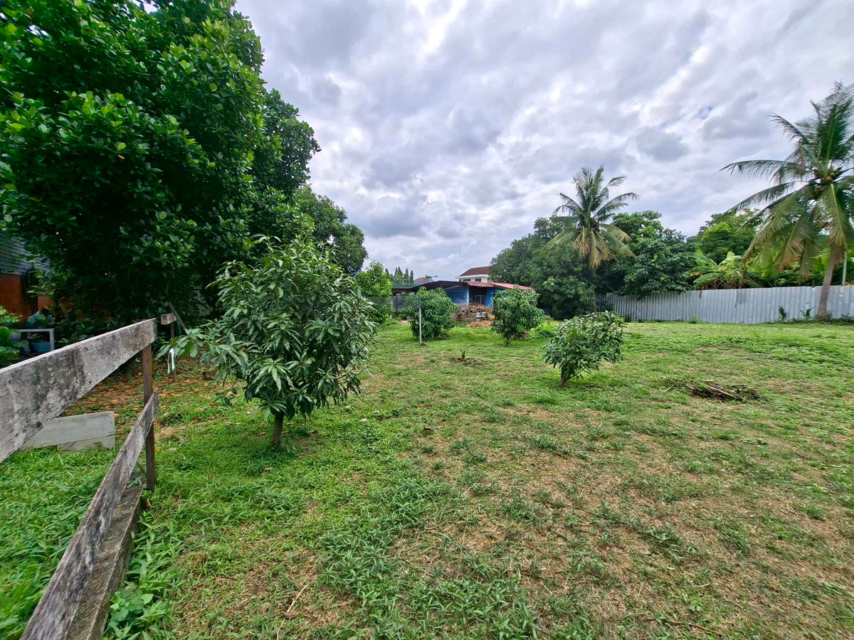 ให้เช่าที่ดินแจ้งวัฒนะ เมืองทอง : 🌿ที่ดินให้เช่าระยะยาว แจ้งวัฒนะ–ปากเกร็ด 24⚡เนื้อที่ 250 ตรว. ผังน้ำตาล ใกล้รถไฟฟ้าสีชมพู• Central แจ้งวัฒนะ•World Medical hospital สนใจ 📞099 415 2664 