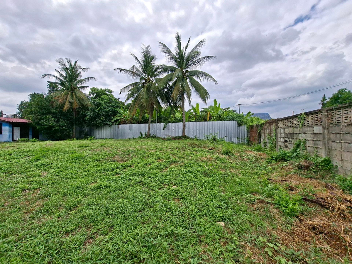 ให้เช่าที่ดินแจ้งวัฒนะ เมืองทอง : 🌿ที่ดินให้เช่าระยะยาว แจ้งวัฒนะ–ปากเกร็ด 24⚡เนื้อที่ 250 ตรว. ผังน้ำตาล ใกล้รถไฟฟ้าสีชมพู• Central แจ้งวัฒนะ•World Medical hospital สนใจ 📞099 415 2664 