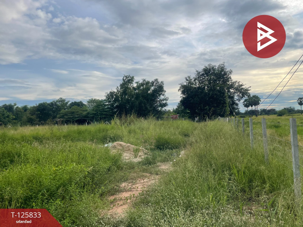 ขายที่ดินบุรีรัมย์ : ขายที่ดิน เนื้อที่ 1 ไร่ ประโคนชัย บุรีรัมย์