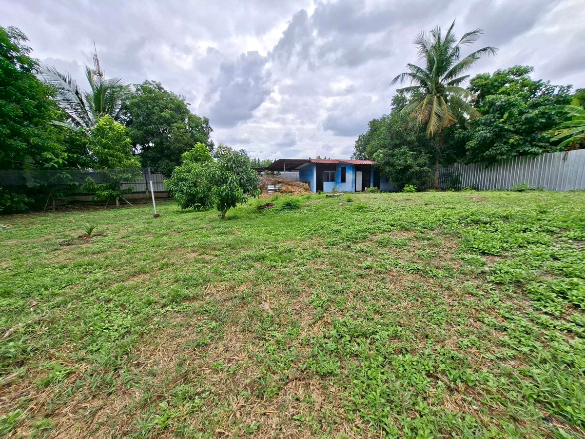For RentLandChaengwatana, Muangthong : ⛳️Land for Rent (Chaengwattana –Pak Kret 24) 250 sq.wah, Fully filled & ready for development
400 m from main road, near Central & World Medical Center
📞099 415 2664