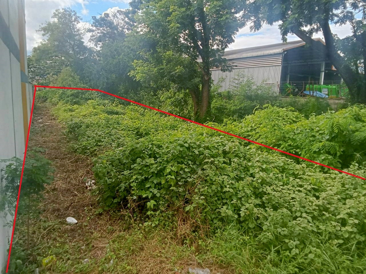 ขายที่ดินอุดรธานี : ที่ดินติดถนนมิตรภาพ ใกล้แยกอำเภอกุมภวาปี พื้นที่ 79 ตร.ว. ทำเลทองสายหลัก รถผ่านตลอดวัน เหมาะทำร้านค้า,  หรือสำนักงาน เดินทางสะดวก ใกล้ตลาดและชุมชน