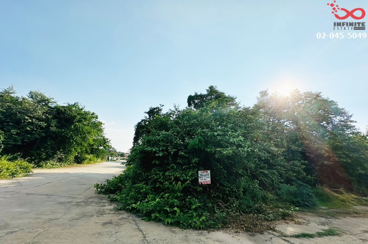 ขายที่ดินอยุธยา : ขายที่ดิน ถนน347 ปทุมธานี-บางปะหัน 173ตรว. บ้านใหม่ อยุธยา 