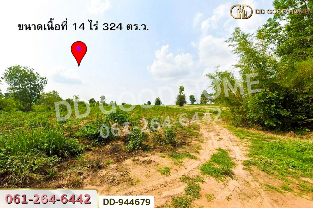 ขายที่ดินขอนแก่น : DD-944679 ที่ดินน้ำพอง 14 ไร่ 324 ตร.ว. ขอนแก่น ใกล้เทศบาลตำบลม่วงหวาน