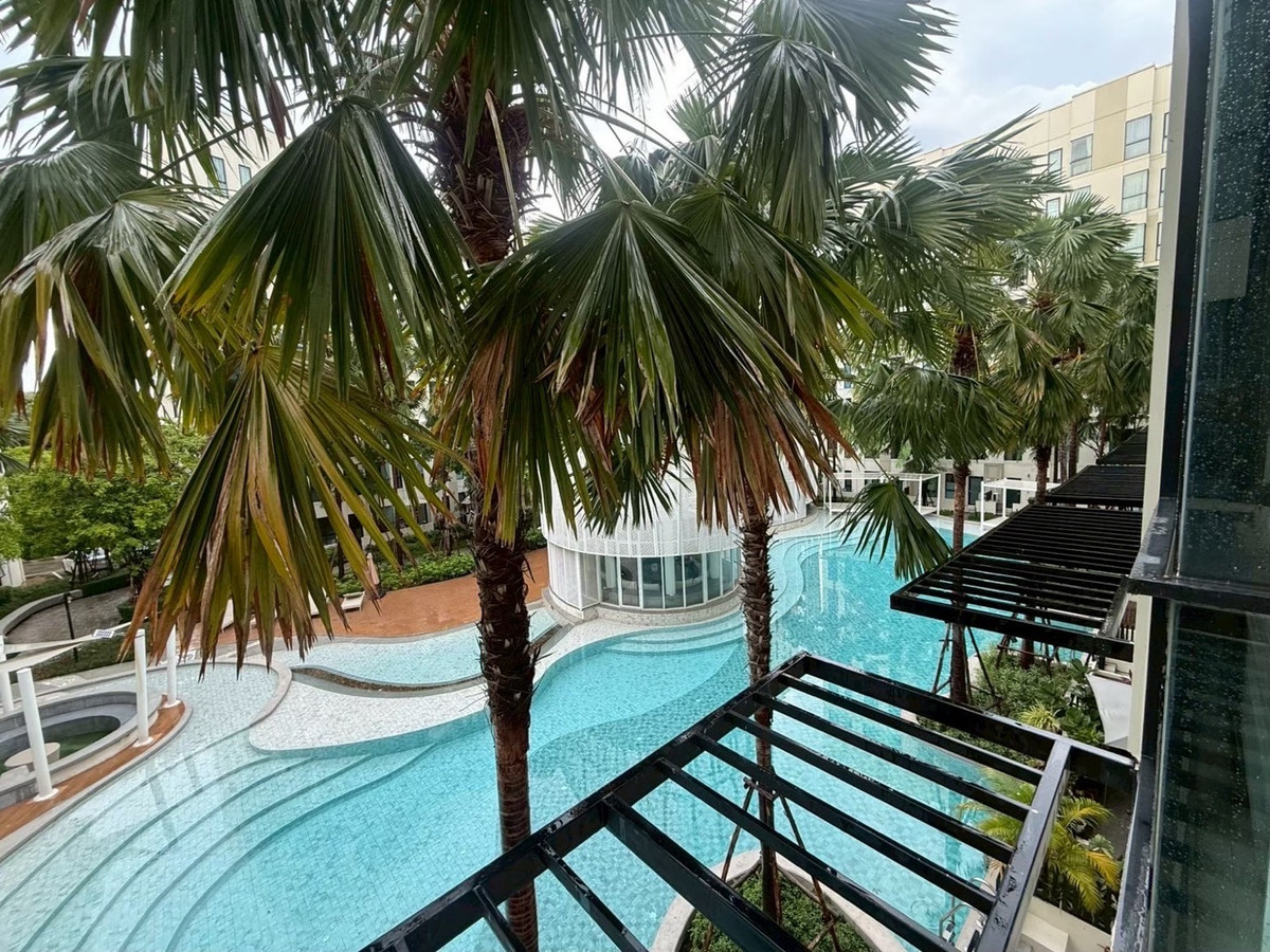 ให้เช่าคอนโดบางนา แบริ่ง ลาซาล : Condo poolview  for rent 🚆BTS Bearing
Unio Sukhumvit 72 ตึก E 
ให้เช่าคอนโด โครงการ ยูนิโอ สุขุมวิท72 เฟส2  ชั้น3 วิวสระว่ายน้ำ ขนาดห้อง 24 sqm. 