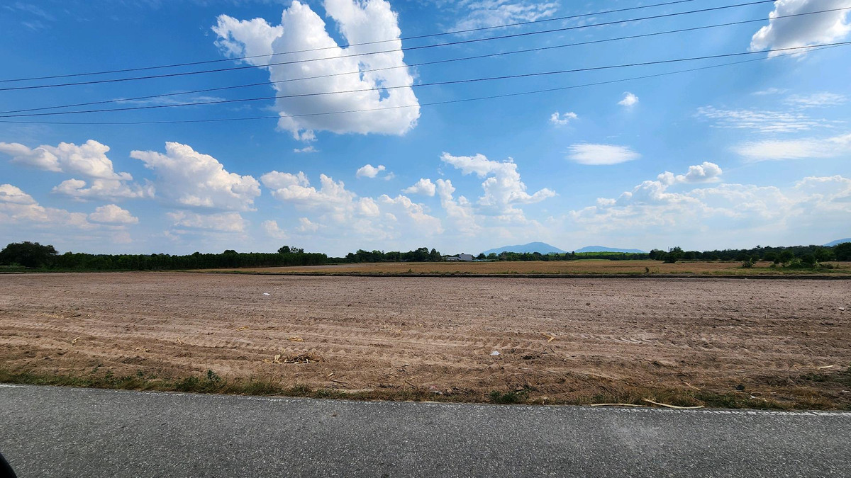 ขายที่ดินพัทยา บางแสน ชลบุรี สัตหีบ : ขายที่ดินแปลง สวย อ.บ้านบึง ชลบุรี 