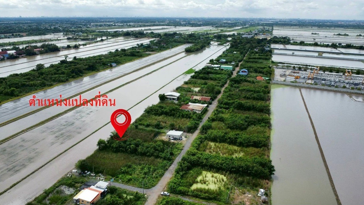 ขายที่ดินมีนบุรี-ร่มเกล้า : ขายที่ดินถูกราคาเกินคุ้ม !! ที่ดิน 4 แปลงใหญ่ 241.6 ตร.วา ทำเลหนองจอกคลองสิบ เหมาะลงทุนซื้อเก็บเกร็งกำไรหรือสร้างบ้านอยู่เอง !! 