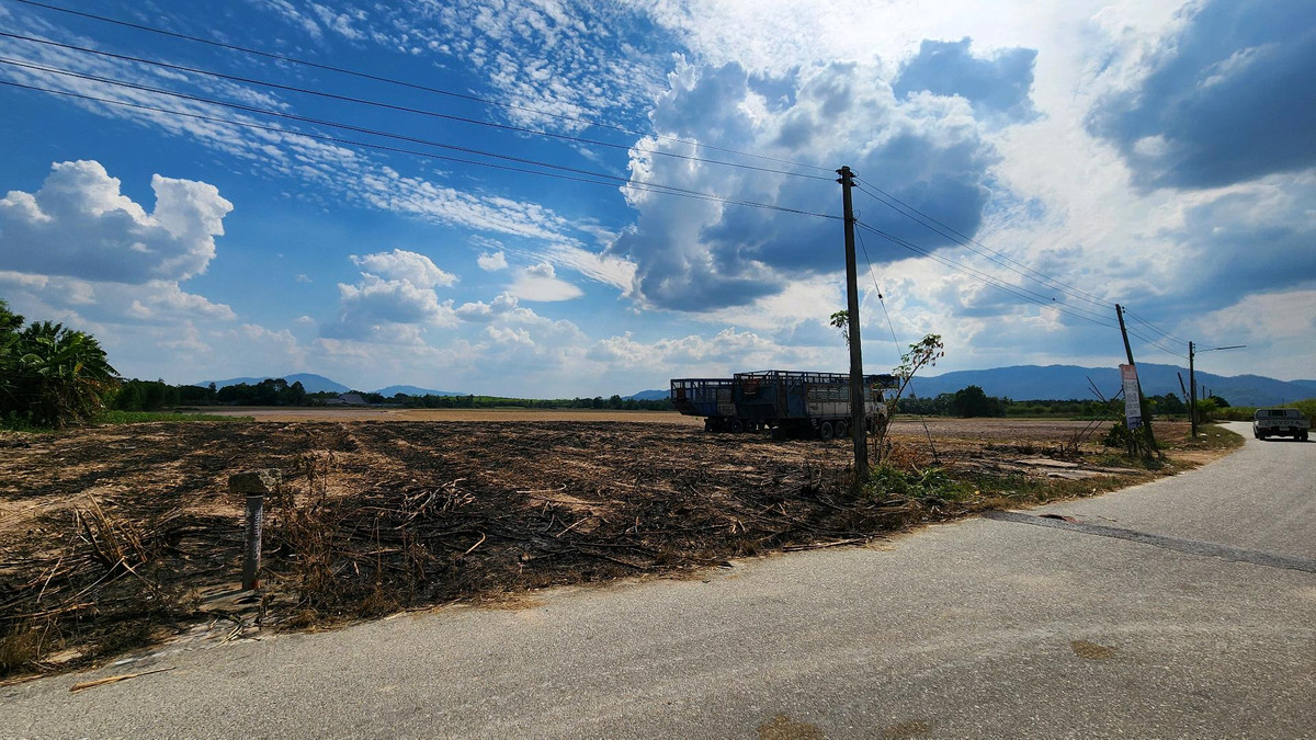 ขายที่ดินพัทยา บางแสน ชลบุรี สัตหีบ : ขายที่ดินแปลง สวย อ.บ้านบึง ชลบุรี 