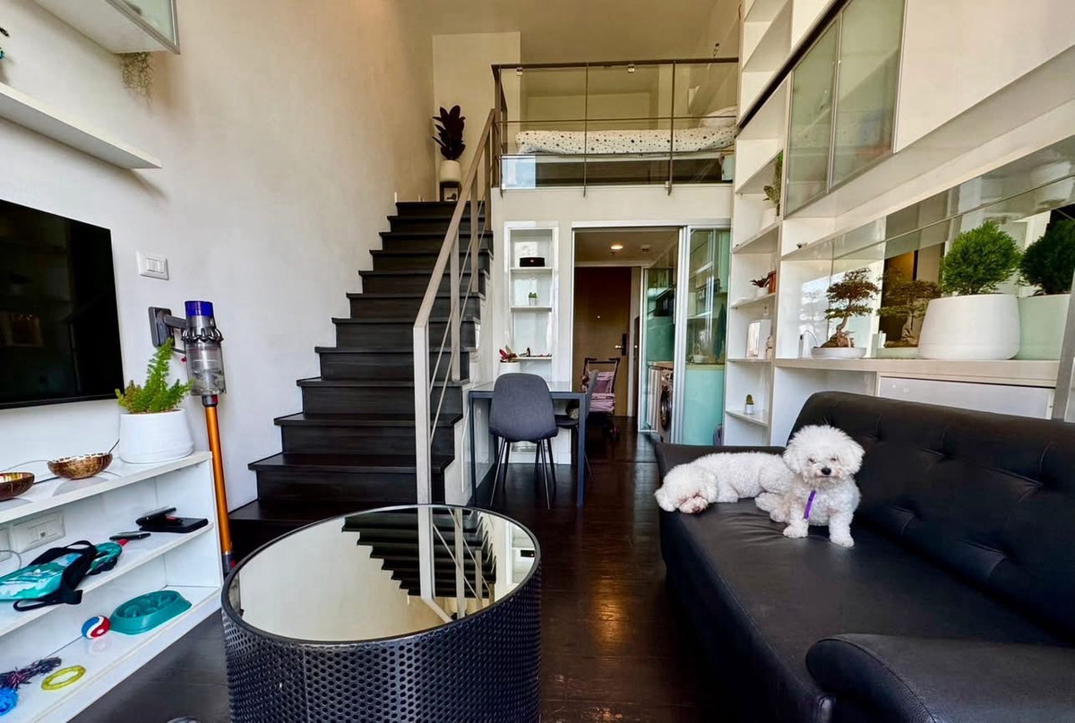 For RentCondoSukhumvit, Asoke, Thonglor : ✨🏙️🐾 New room, pet friendly, beautifully decorated, complete with furniture and electrical appliances 📍🌿