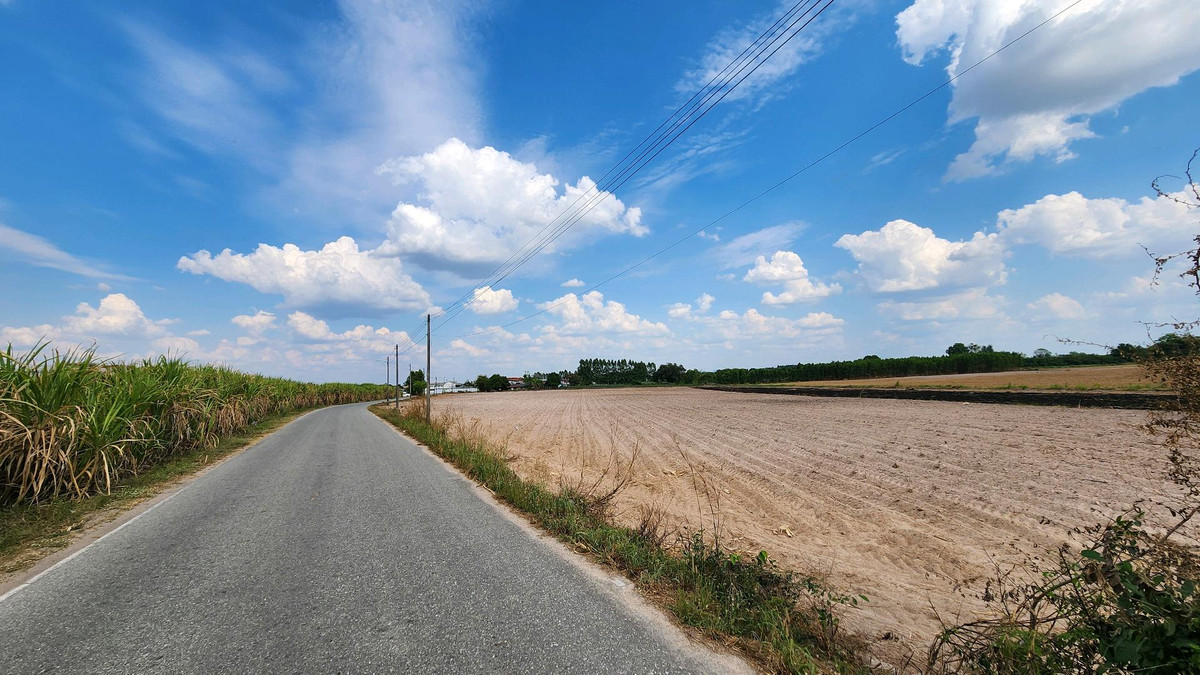 ขายที่ดินพัทยา บางแสน ชลบุรี สัตหีบ : ขายที่ดินแปลง สวย อ.บ้านบึง ชลบุรี 