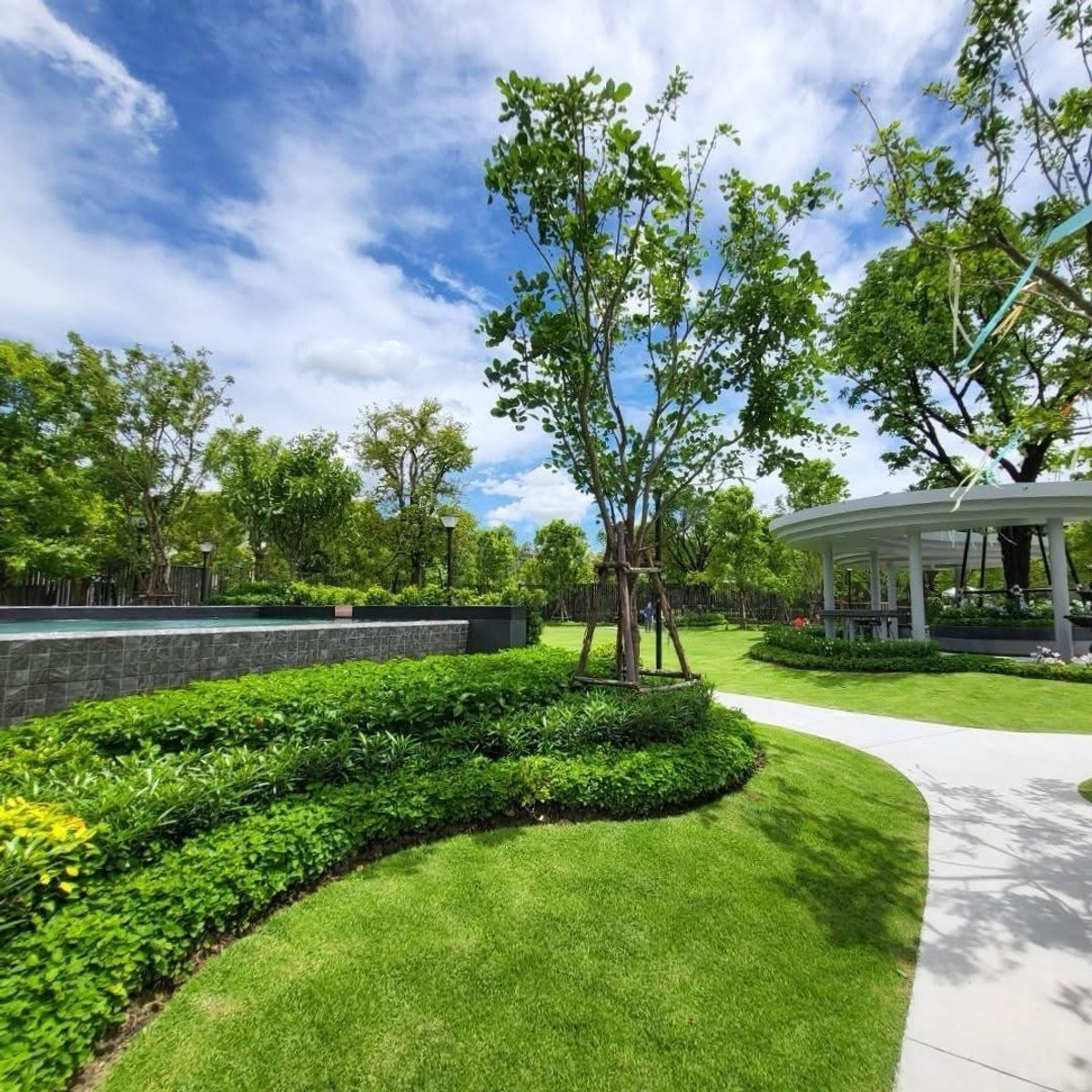 ขายทาวน์โฮมบางนา แบริ่ง ลาซาล : แปลนใหม่‼️มีชั้น LOFT พร้อมหน้ากว้าง 5.5 เมตร และลงเข็มผนังสูงหลังบ้าน | สนใจนัดชมโทร 0953569894