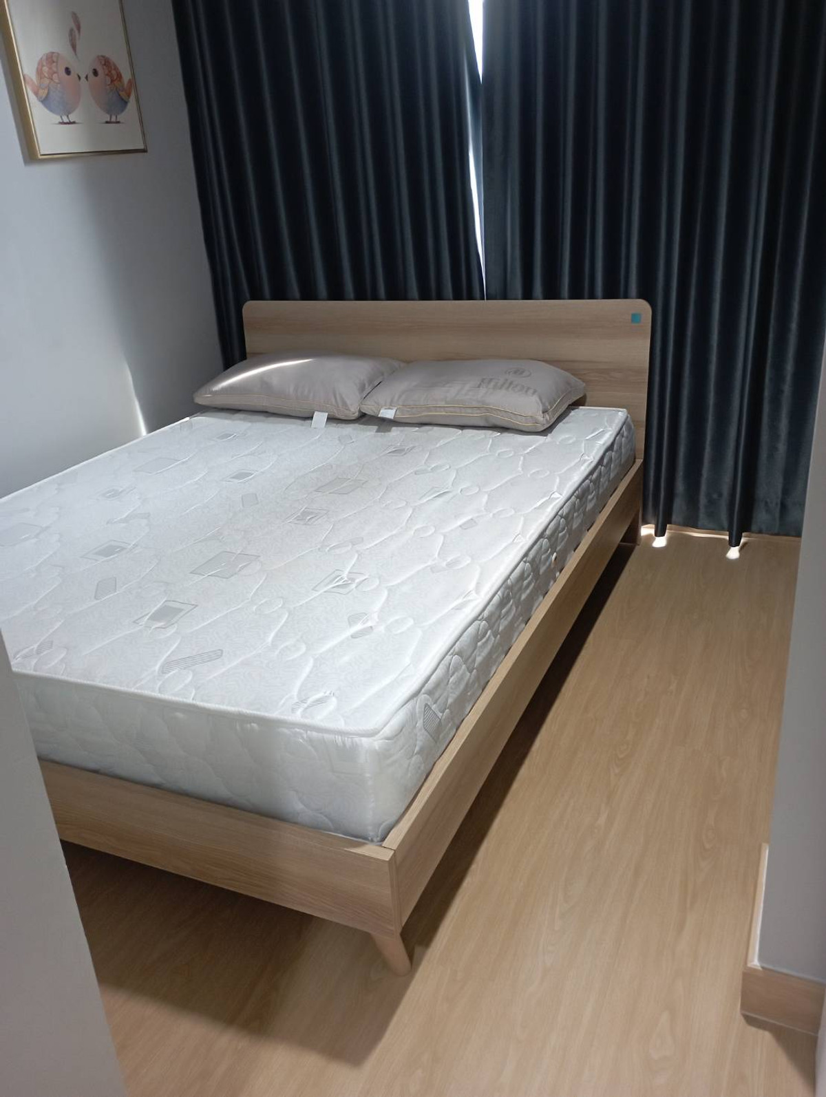 ให้เช่าคอนโดเกษตรศาสตร์ รัชโยธิน : ปล่อยเช่าห้องชุด ชาโตว์ อินทาวน์ เมเจอร์​รัช​โยธิน ใกล้ BTS รัชโยธิน