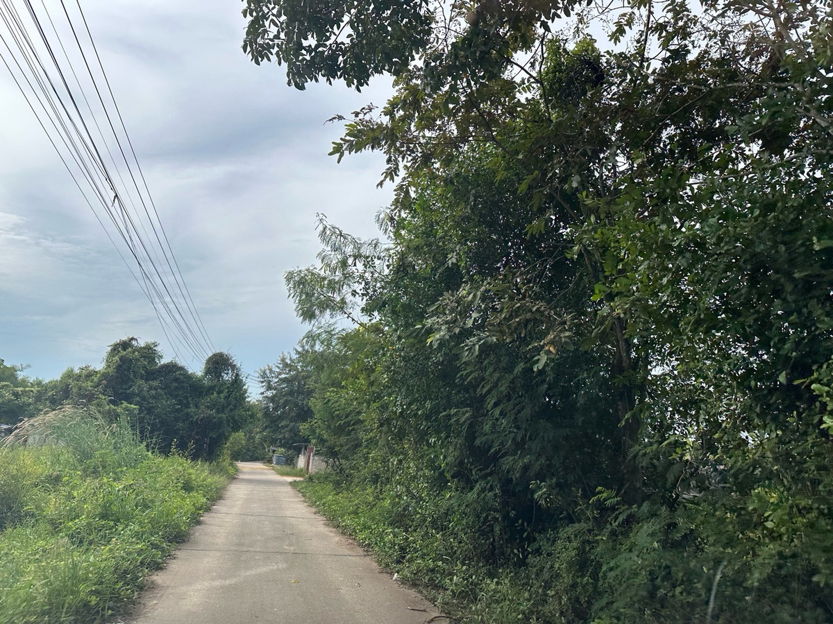 ให้เช่าที่ดินพัทยา บางแสน ชลบุรี สัตหีบ : ที่ให้เช่า หนองเหียง พนัสนิคม ชลบุรี 22ไร่ เหมาะทำเกษตรกรรม