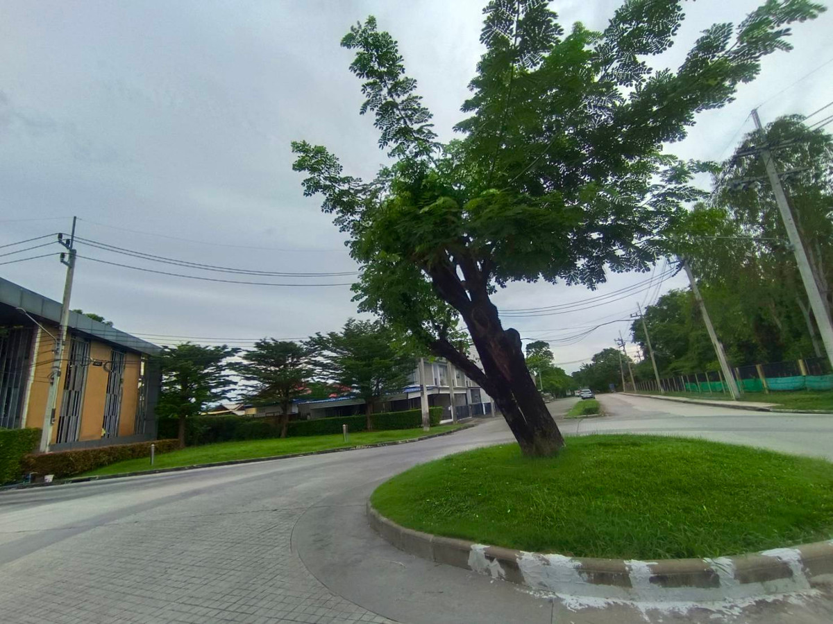 For SaleTownhomePathum Thani,Rangsit, Thammasat : 🏠 House for sale: Baan Pruksa Chaengwattana-Ratchapruek (Baan Pruksa Chaengwattana-Ratchapruek) Property code | 📌 LNP-H644