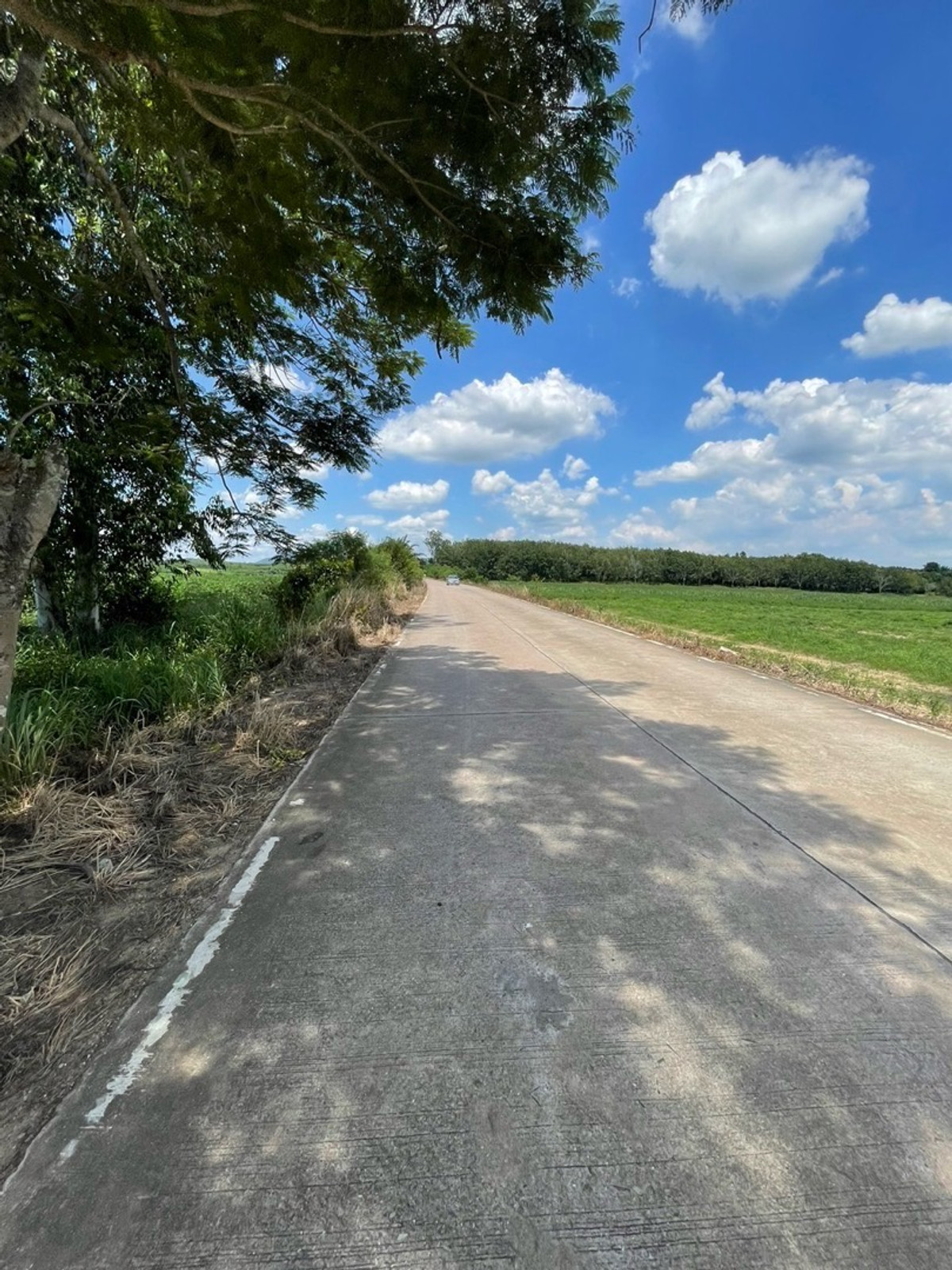 For SaleLandPattaya, Bangsaen, Chonburi : Land in Ban Bueng, 316 rai, next to the road on 3 sides, near Rojana Nong Yai Industrial Estate. Asia Clean Industrial Estate, convenient location