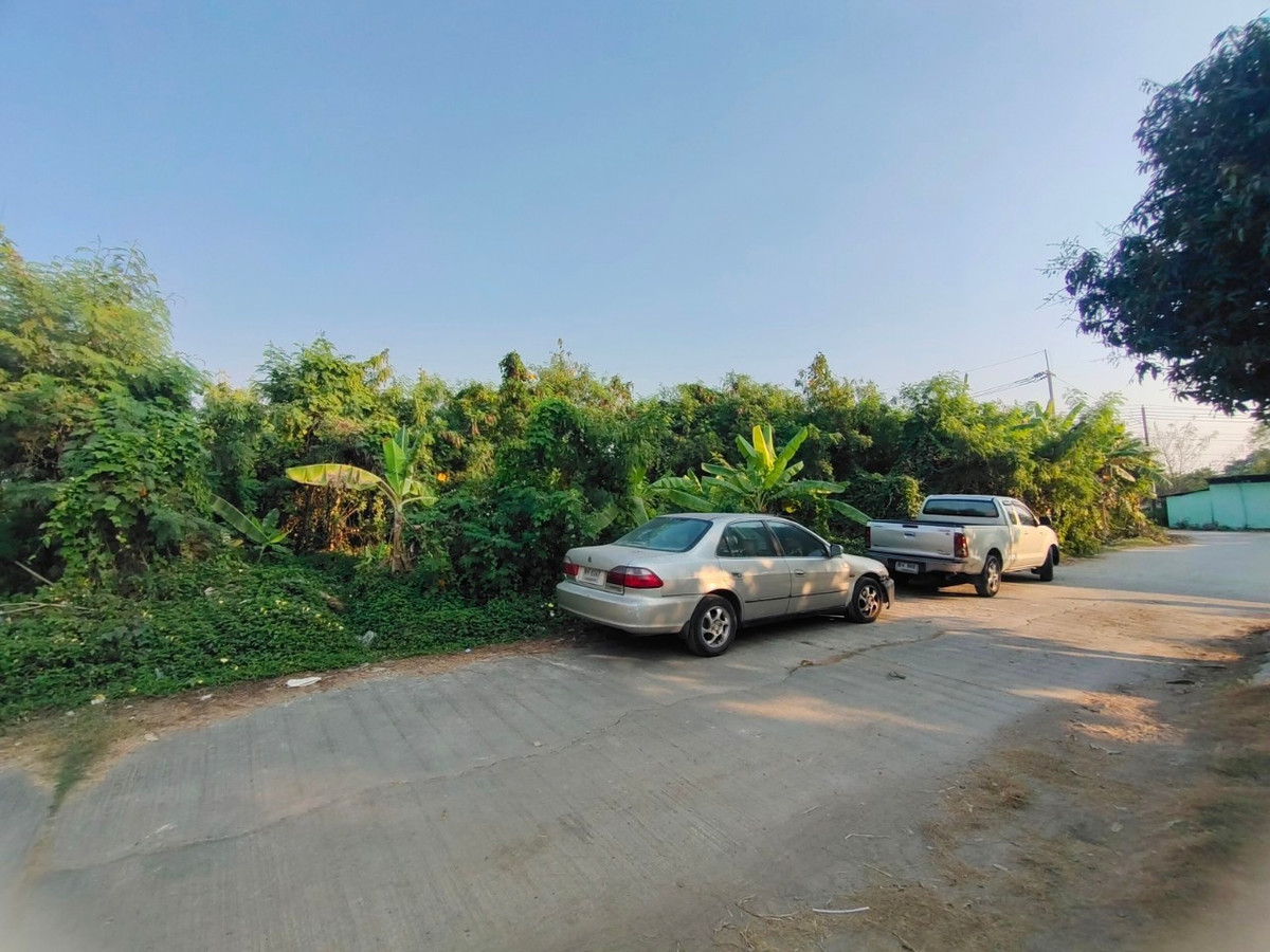 ขายที่ดินบางแค เพชรเกษม : 88999 - ขายที่ดินทำเลทองพุทมณฑลสาย 1