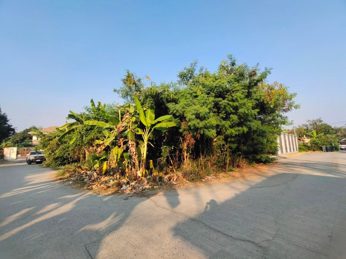 ขายที่ดินบางแค เพชรเกษม : 88999 - ขายที่ดินทำเลทองพุทมณฑลสาย 1