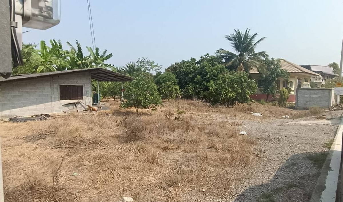 ขายที่ดินมหาชัย สมุทรสาคร : 92119 - ขายที่ดินเปล่าพร้อมสวนทำการเกษตรหรือปลูกบ้านอาศัย