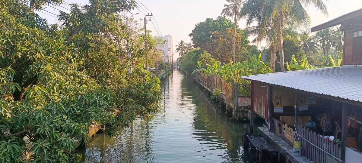 ขายที่ดินบางแค เพชรเกษม : 88999 - ขายที่ดินทำเลทองพุทมณฑลสาย 1