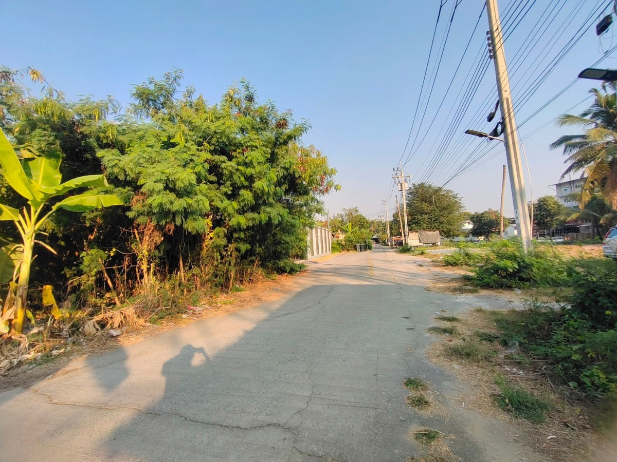 ขายที่ดินบางแค เพชรเกษม : 88999 - ขายที่ดินทำเลทองพุทมณฑลสาย 1