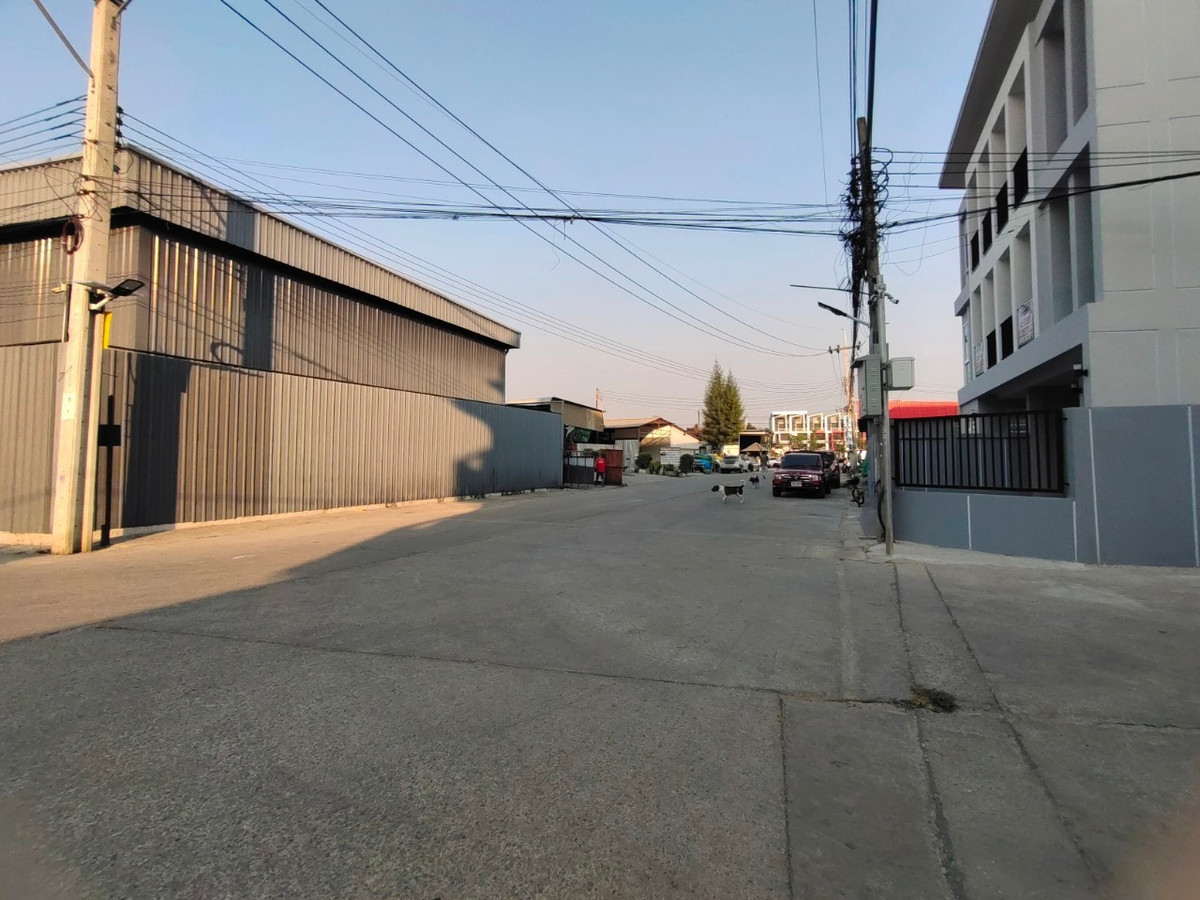 ขายที่ดินบางแค เพชรเกษม : 88999 - ขายที่ดินทำเลทองพุทมณฑลสาย 1