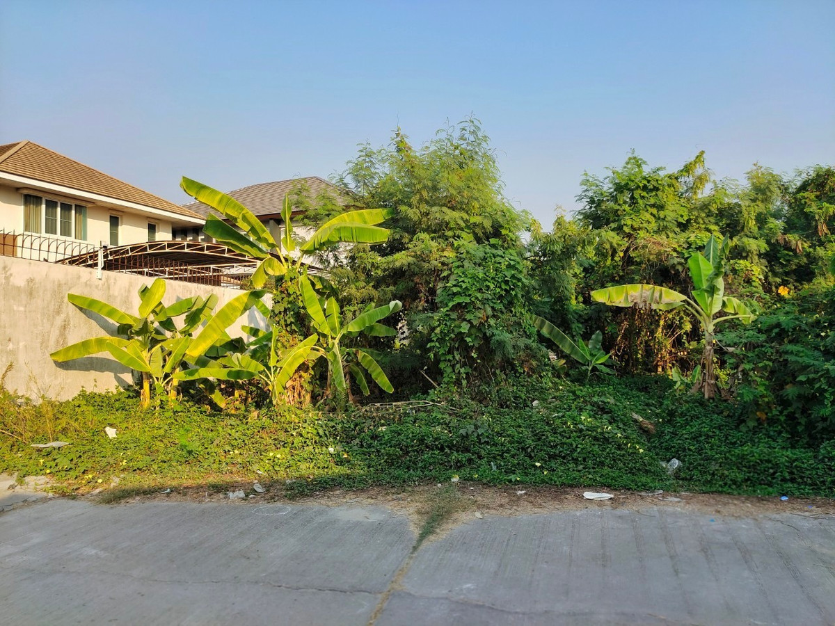 ขายที่ดินบางแค เพชรเกษม : 88999 - ขายที่ดินทำเลทองพุทมณฑลสาย 1