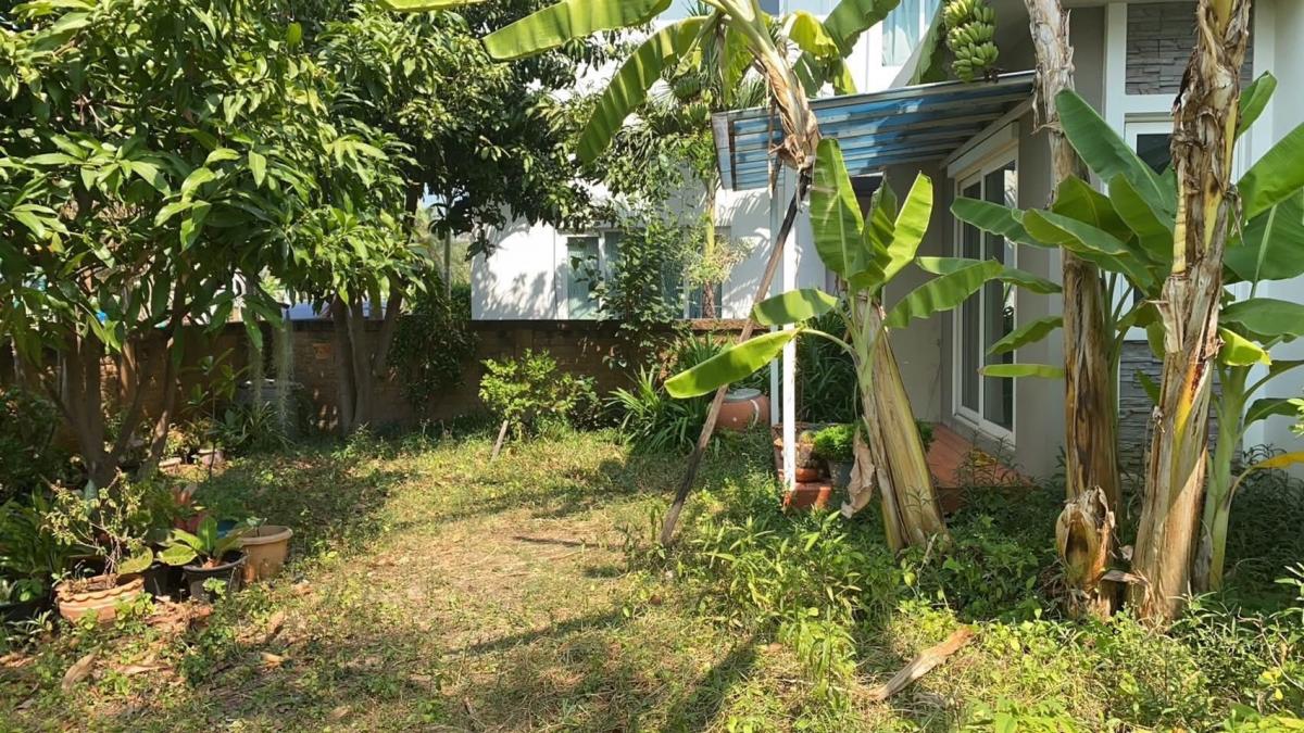 ขายบ้านพัฒนาการ ศรีนครินทร์ : 28/02/2026, บ้านเดี่ยว 4 ห้องนอน ใกล้รถไฟฟ้า อ่อนนุช-พัฒนาการ 
Golden Village บ้านใหญ่พื้นที่กว้าง ราคาพิเศษ 6 ล้านเท่านั้น