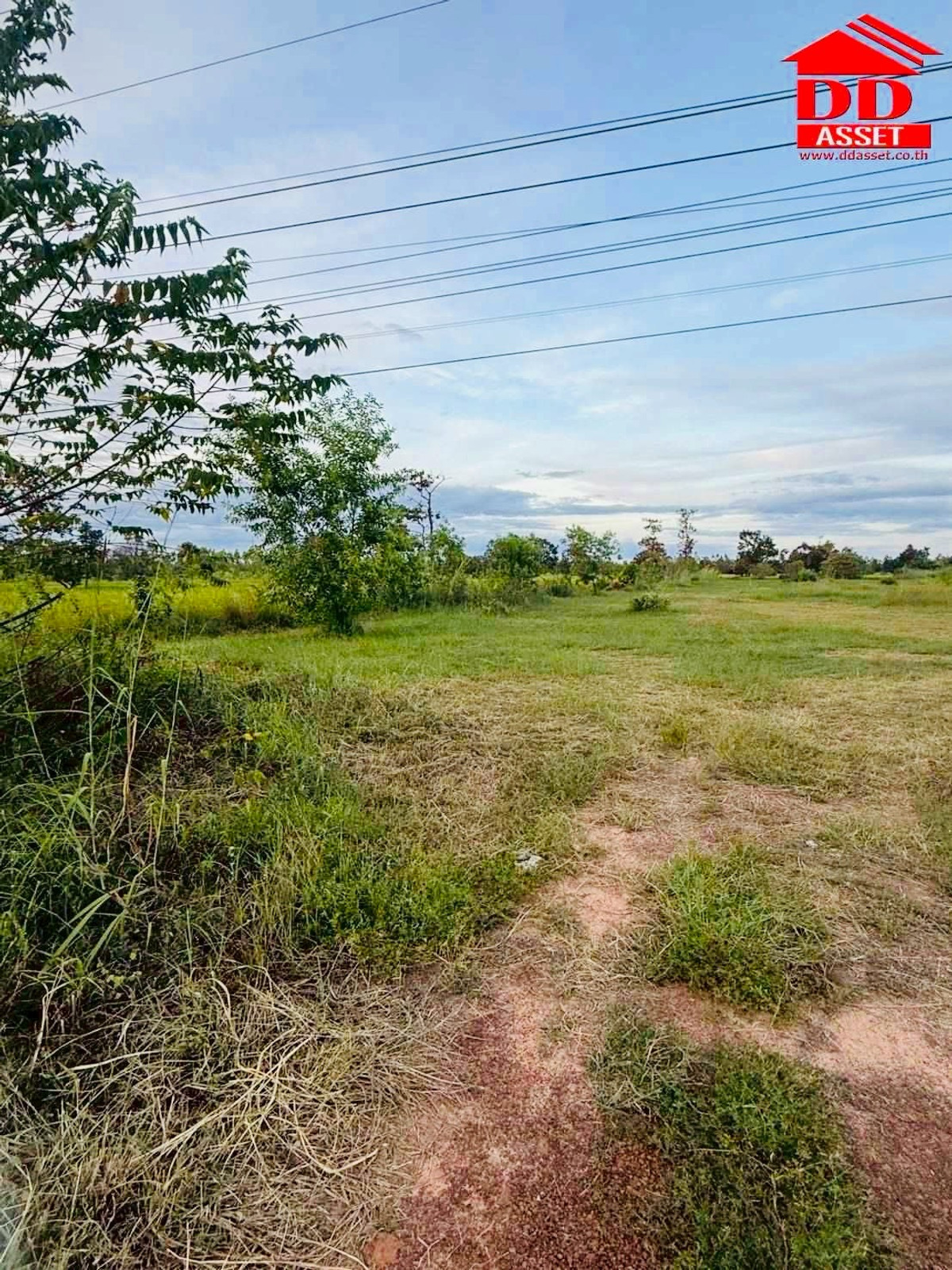 For SaleLandAmnat Charoen : Land for sale, Phana District, Amnat Charoen Province, near Phana Hospital, Code: L8049
