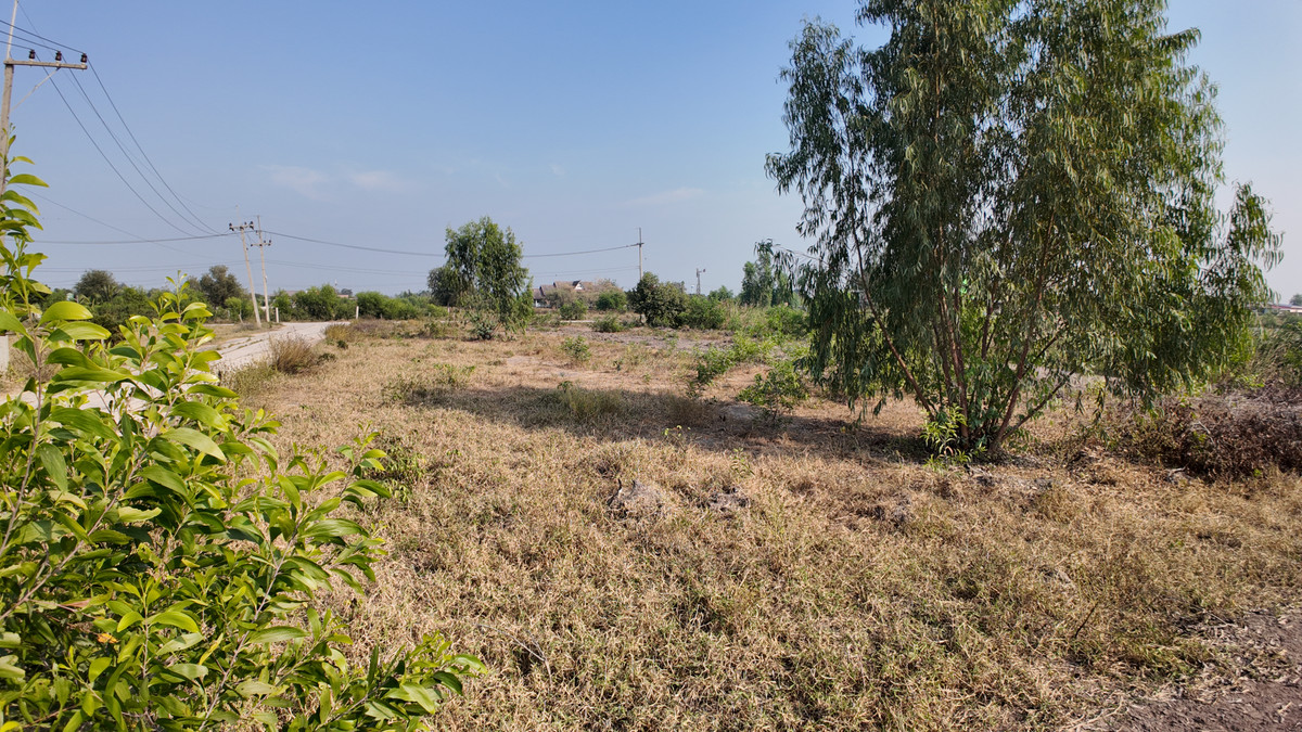 ขายที่ดินอยุธยา : ที่ดิน  อ.ลาดบัวหลวง จ.อยุธยา ขนาด 700 ตร.วา ( หัวมุมถนน พื้นที่ยาวสวย ทำเลเด่น (หน้ากว้าง 70 เมตร)