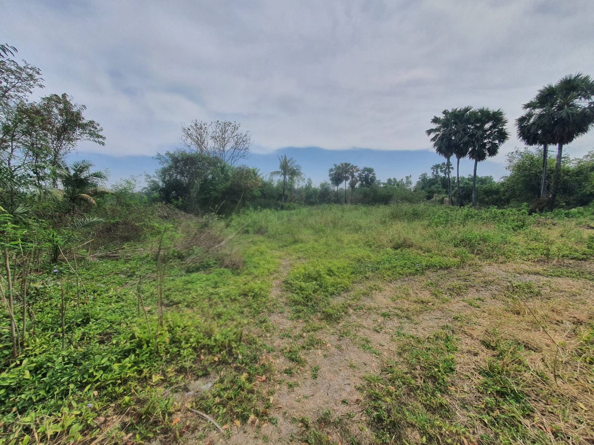 ขายที่ดินชะอำ เพชรบุรี : 🔥 ขายที่ดินทำเลทอง หลัง Makro เพชรบุรี ราคาสุดคุ้ม!  🔥 ห่างจากถนนใหญ่ 900 เมตร ห่างจากถนนย่อย 180 เมตร