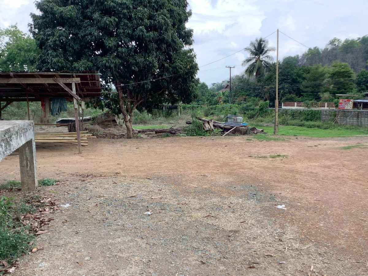 ขายที่ดินอุตรดิตถ์ : ขายที่ดินบนเนิน แปลงสวย 17 ไร่ 253 ตารางวา พร้อมต้นสักอายุ 20 ปี ปลูกเต็มพื้นที่ 12 ไร่ ต.น้ำหมัน อ.ท่าปลา จ.อุตรดิตถ์