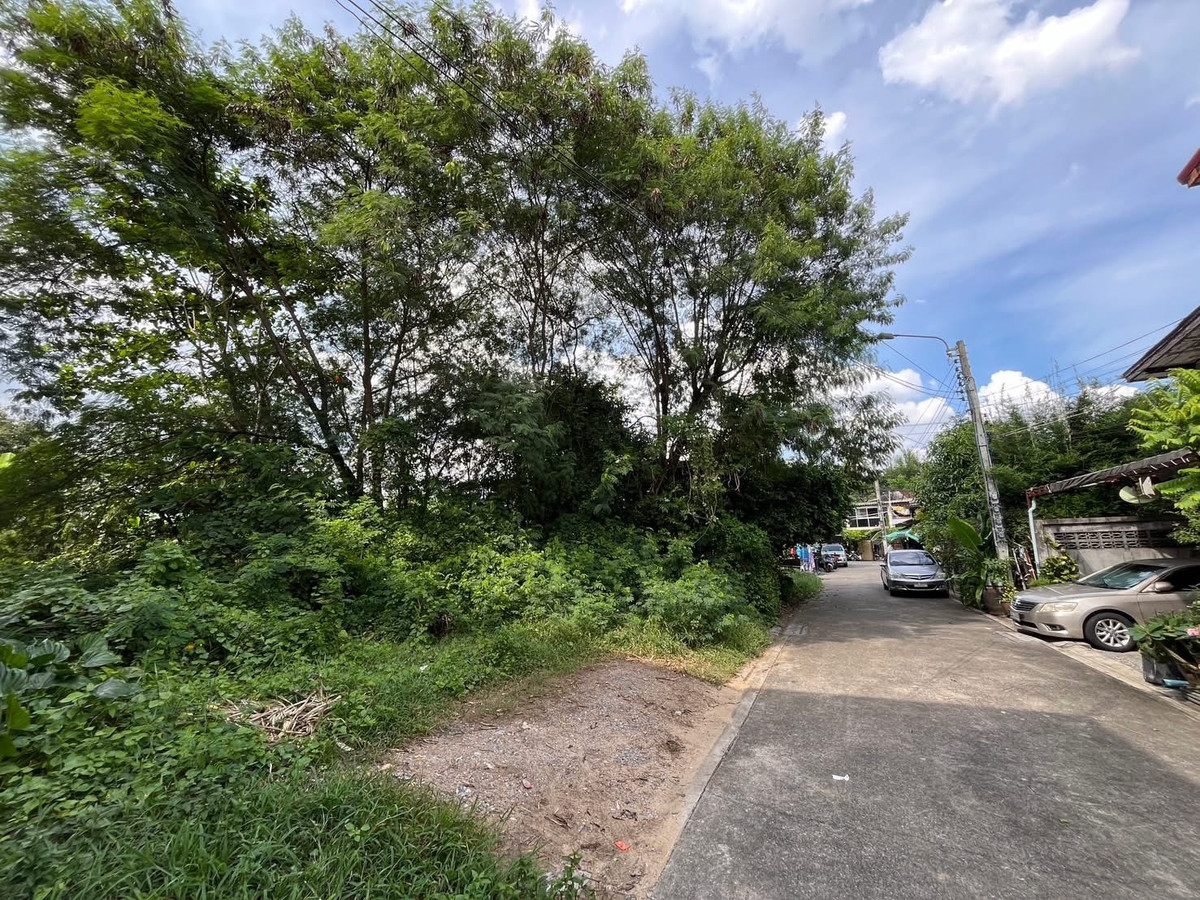 For SaleLandThaphra, Talat Phlu, Wutthakat : Land for sale/rent, already filled, Soi Bang Khae 3