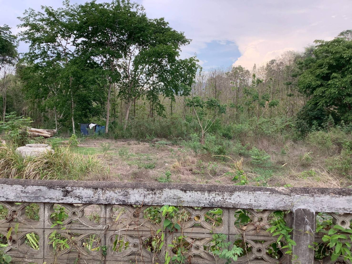 ขายที่ดินอุตรดิตถ์ : ขายที่ดินบนเนิน แปลงสวย 17 ไร่ 253 ตารางวา พร้อมต้นสักอายุ 20 ปี ปลูกเต็มพื้นที่ 12 ไร่ ต.น้ำหมัน อ.ท่าปลา จ.อุตรดิตถ์